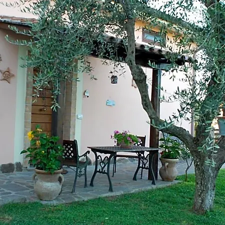 Bed & Breakfast Bed And Bikers Riano (Rome)