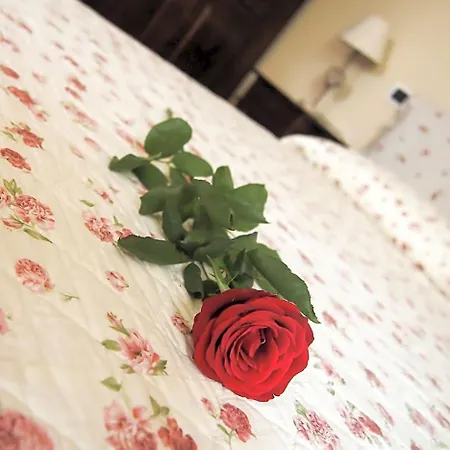 Bed And Bikers 3* Riano (Rome)
