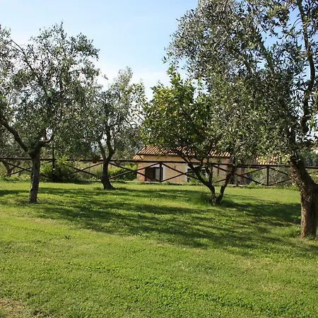 Bed And Bikers Bed & Breakfast Riano (Rome)