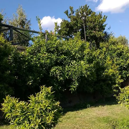 Bed And Bikers Riano (Rome)