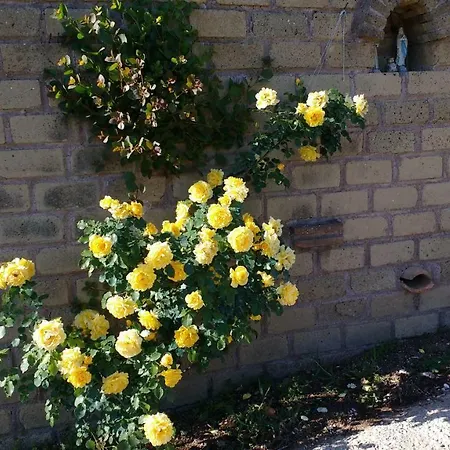 Bed And Bikers 3* Riano (Rome)