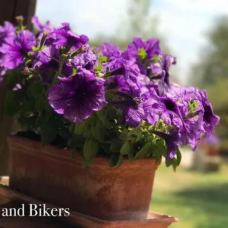 Bed And Bikers Riano (Rome)