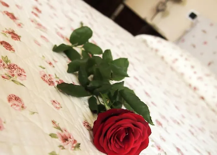 Bed And Bikers Nocleg ze śniadaniem 3*