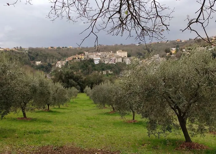 Bed And Bikers Nocleg ze śniadaniem