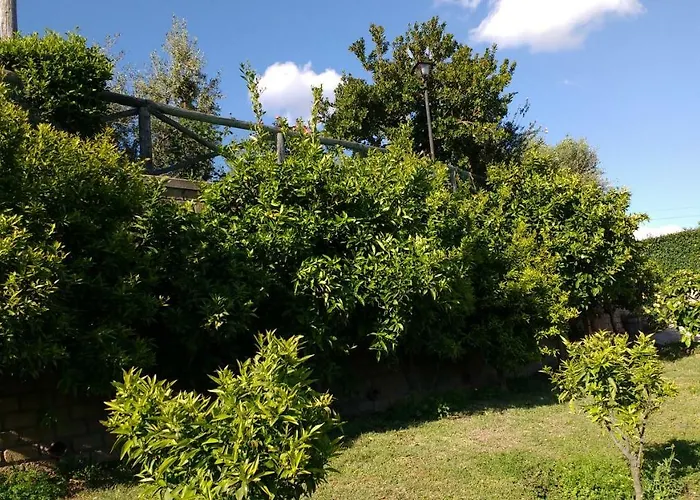 Bed And Bikers Riano (Rome)