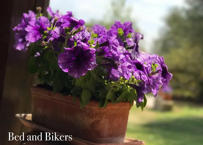 Bed And Bikers Riano (Rome)